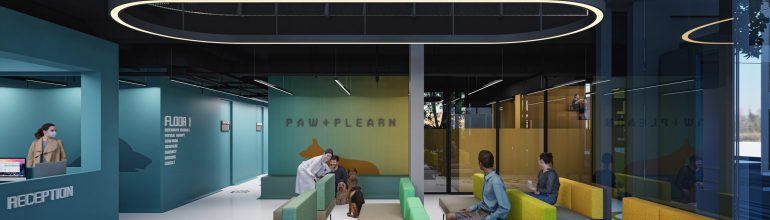 Paw+Plearn Animal Hospital